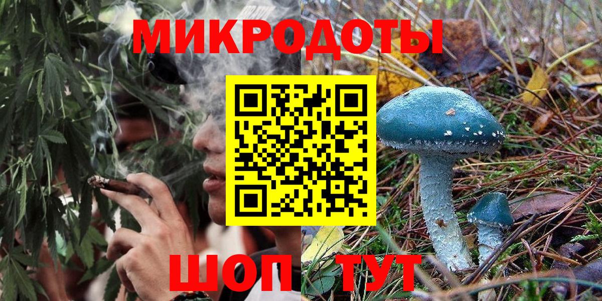 Котовск  Галлюциногенные грибы Psilocybine cubensis  магазин продажи наркотиков  Вход с VPN 